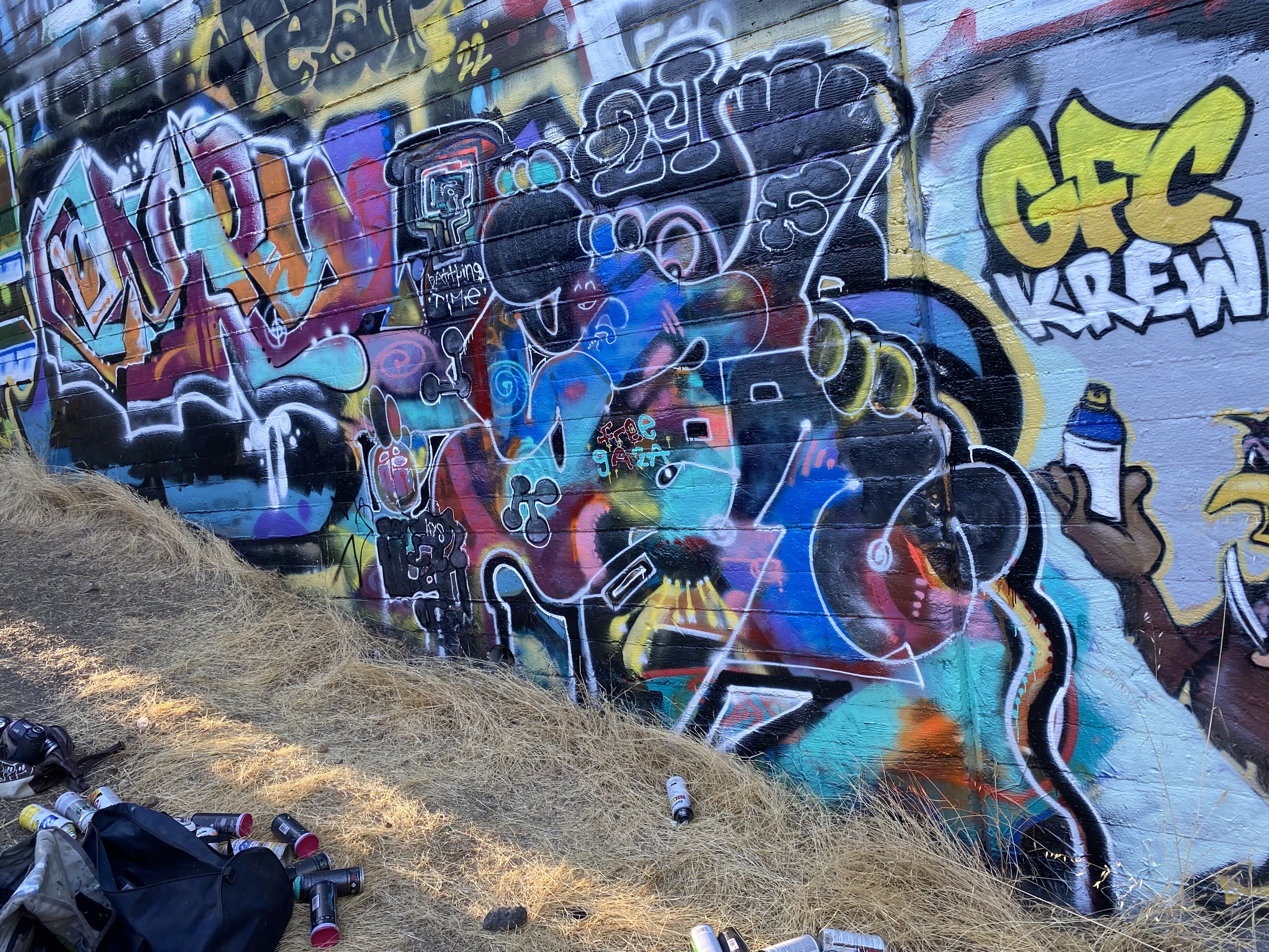 colorful mural i spray painted